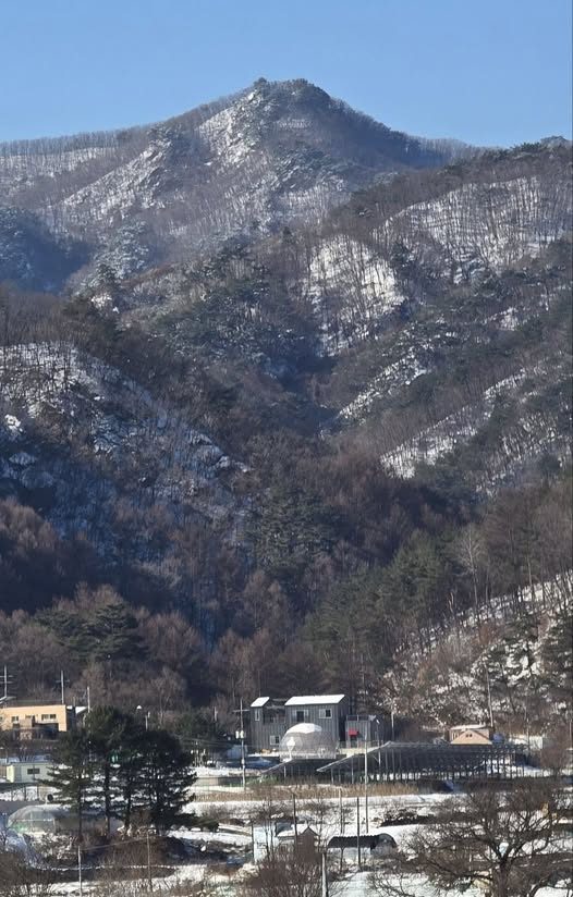 눈 덮인 치악산 자락 아래 자리 잡은 연구소 일대의 겨울 풍경